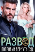 Обложка книги "Развод. Попробуй вернуть(ся)"