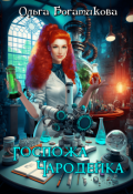 Обложка книги "Госпожа чародейка"