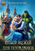 Обложка книги "Отбор мужей для попаданки"