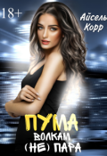 Обложка книги "Пума волкам (не) пара"