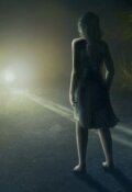 Обложка книги "Попутчица "