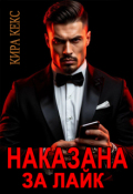 Обложка книги "Наказана за лайк"