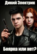 Обложка книги "Боярка или нет?"