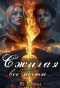 Обложка книги "Сжигая все мечты..."