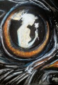 Обложка книги "Крыльями"