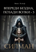 Обложка книги "Впереди бездна, позади волки - 3. Силман"