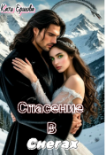 Обложка книги "Спасение в снегах"