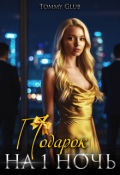Обложка книги "Подарок на 1 ночь"