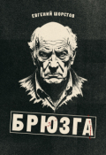 Обложка книги "Брюзга"