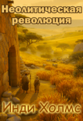 Обложка книги "Неолитическая революция"