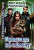 Обложка книги "Магический Университет. Практика по обмену"