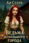 Обложка книги "Ведьма из большого города"