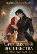 Обложка книги "Срок действия волшебства"