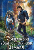 Обложка книги "Приключения в зеленоснежинских землях"