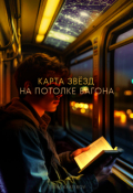 Обложка книги "Карта звёзд на потолке вагона"