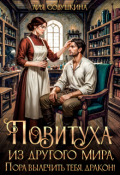 Обложка книги "Повитуха из другого мира. Пора вылечить тебя, дракон!"