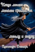 Обложка книги "Когда мачеха меняет крылья на метлу и ступу"