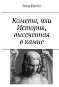 Обложка книги "Комета, или История, высеченная в камне"