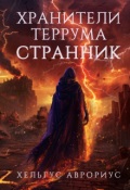 Обложка книги "Хранители Террума. Странник"