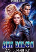 Обложка книги "Два эльфа для землянки"