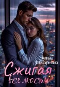 Обложка книги "Сжигая все мосты"