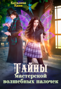 Обложка книги "Тайны Мастерской волшебных палочек"