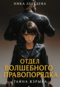 Обложка книги "Отдел волшебного правопорядка. Тайна взрыва"