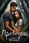 Обложка книги "Проводник"