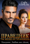 Обложка книги "Праведник. Ты меня не помнишь"