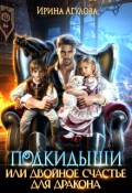 Обложка книги "Подкидыши, или Двойное счастье для дракона"
