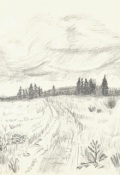 Обложка книги "Двадцать ноль один"