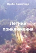 Обложка книги "Летние приключения"