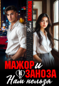 Обложка книги "Мажор и заноза. Нам нельзя"