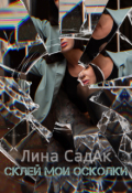 Обложка книги "Склей мои осколки"