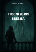 Обложка книги "Последняя звезда "