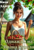 Обложка книги "Однажды на Ивана Купала"