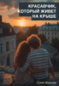 Обложка книги "Красавчик, который живет на крыше"