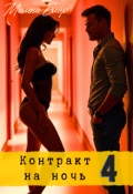 Обложка книги "Контракт на ночь 4"