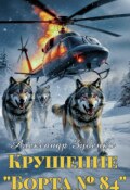 Обложка книги "Крушение борта №84"