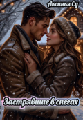 Обложка книги "Застрявшие в снегах"