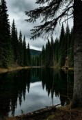 Обложка книги "Восьмой оборот"