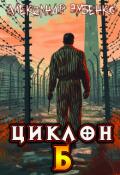 Обложка книги "Циклон-Б"