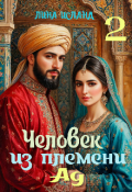 Обложка книги "Человек из племени Ад. Том второй."