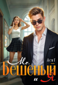 Обложка книги "Mr. Бешеный и Я"