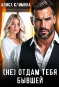 Обложка книги "(не) Отдам тебя бывшей"