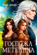 Обложка книги "Госпожа Метелица"