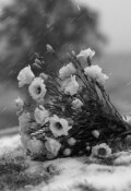 Обложка книги "В ожидании своего часа"