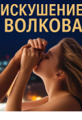 Обложка книги "Искушение Волкова "