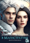 Обложка книги "Зимний праздник в Магистратуме"