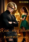 Обложка книги "Как поймать жар-птицу"